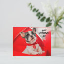 Recherche de taureau rouge cartes postales Toute personne