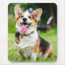 Recherche de corgi pembroke tapis souris Animal