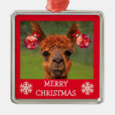 Recherche de alpaga ornements Ferme