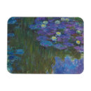 Recherche de nymphea magnets Fleurs