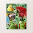 Recherche de perroquets sauvages puzzles Animaux