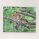 Recherche de cardinal masculin Nature