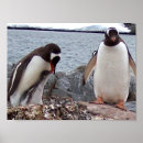 Recherche de antarctique art Pittoresque