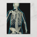 Recherche de corps cartes postales Taille
