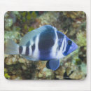 Recherche de climat tropical tapis souris Intégral