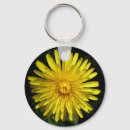 Recherche de pissenlit porteclés Mauvaises herbes