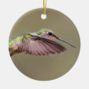 Recherche de hummingbird ornements Nature