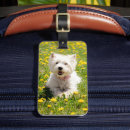 Recherche de chien bagages étiquettes Chiot