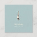 Recherche de coquillages bleus cartes visite Mer