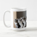 Recherche de pêche et blanc tasses Pour lui