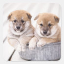 Recherche de baignoire autocollants Intérieur