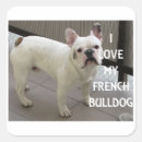 Recherche de french bulldog autocollants Amusant