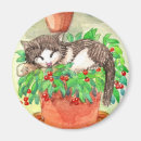 Recherche de plante de chat magnets Chaton