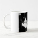 Recherche de attitude de chat tasses Chatte