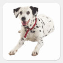 Recherche de chippie autocollants Chiots