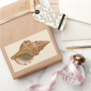 Recherche de coquille de nautilus autocollants Coquillages