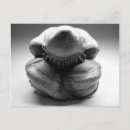 Recherche de bouddha noir cartes postales Noir et blanc