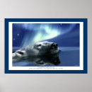 Recherche de polaire ours posters Jour des terres