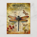 Recherche de libellules cartes postales Antique