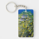 Recherche de banc des poissons accessoires Bleu