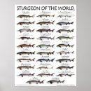 Recherche de 18x24 posters Toute personne