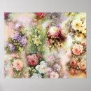 Recherche de belles fleurs posters Roses