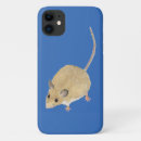 Recherche de souris coques Faune