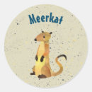 Recherche de meerkat Méerkat mignon