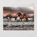 Recherche de image noir et blanc cartes postales Animal