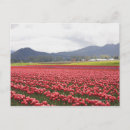 Recherche de jardin formel cartes postales Extérieur