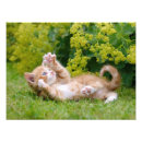 Recherche de flex posters Jouer