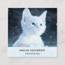Recherche de chaton cartes visite Félin