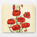 Recherche de mensonge tapis souris Lièvre