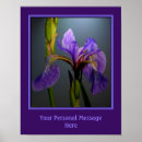 Recherche de purple iris posters Irises