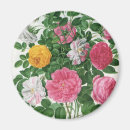 Recherche de jardin anglais magnets Rose