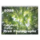 Recherche de chênes photographie Forêt