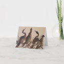 Recherche de très bien vœux cartes Oiseaux