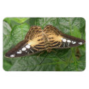 Recherche de jolis papillons magnets Insecte
