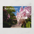 Recherche de raisins cartes postales Collines