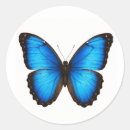 Recherche de morpho bleu autocollants Nature