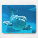 Recherche de beluga tapis souris Mignon