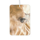 Recherche de zoo voiture accessoires Afrique