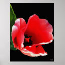 Recherche de tenture posters Pour eux