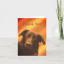 Recherche de noir labrador retriever vœux cartes Animal