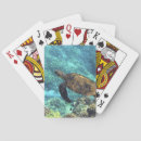 Recherche de tortue mer jeux de cartes Eau