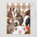 Recherche de ferme animaux cartes postales Âne