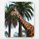 Recherche de girafes drôles tapis souris Drôle de girafe