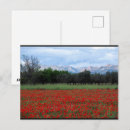 Recherche de coquelicots cartes postales Toute personne