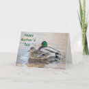 Recherche de étang de canard vœux cartes Mallalard