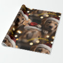 Recherche de chiot papier cadeau Toute personne